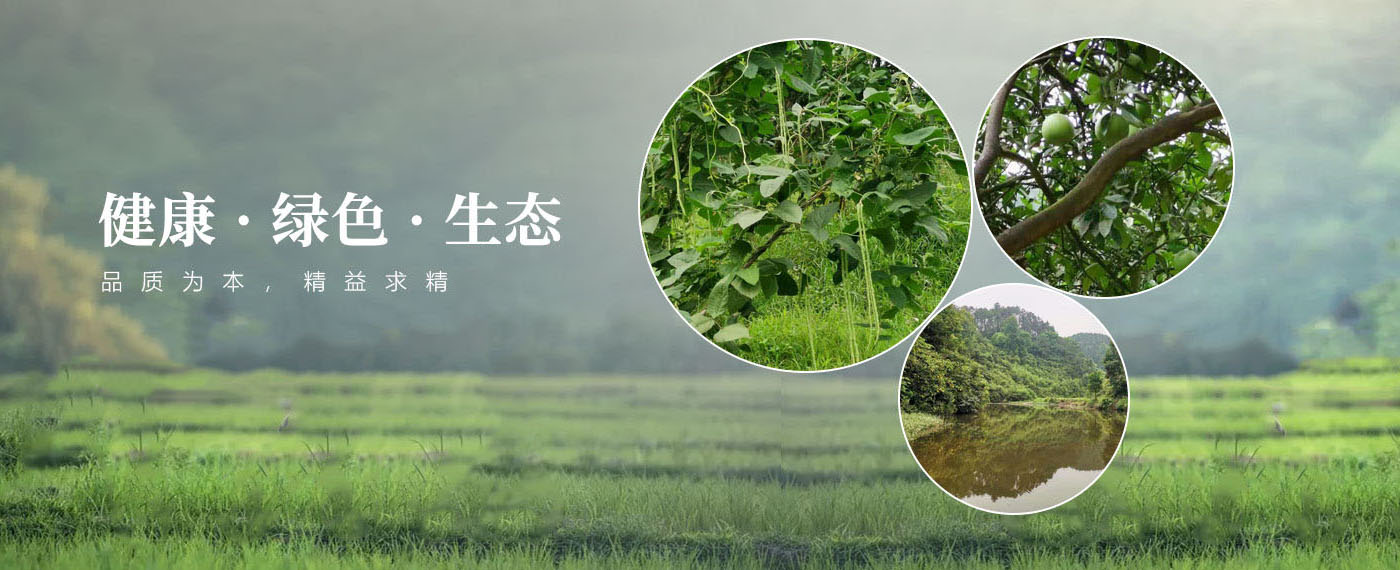 首页手机轮播图