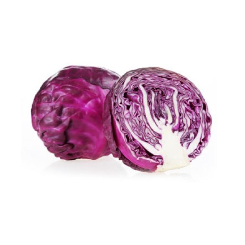 紫甘蓝 - 产品展示图