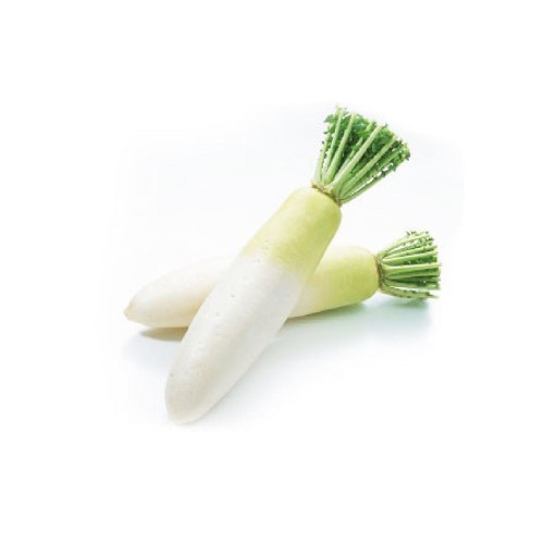白萝卜 - 产品展示图