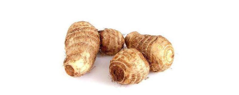 芋头忌用什么肥料 肥料下多了怎么挽救