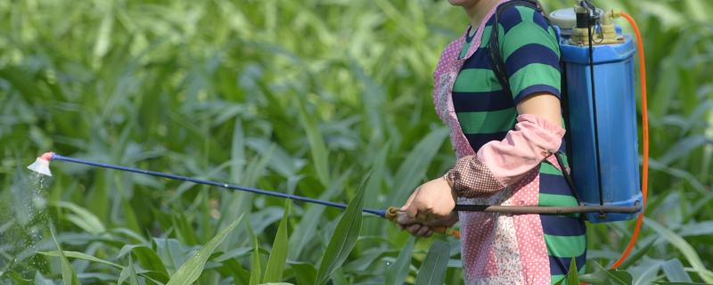盐酸吗啉胍农药的作用 附使用技术