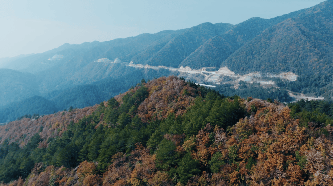 来天曌山吃冬至后第一锅柴火鸡，这才是冬天的正确打开方式！(图8)